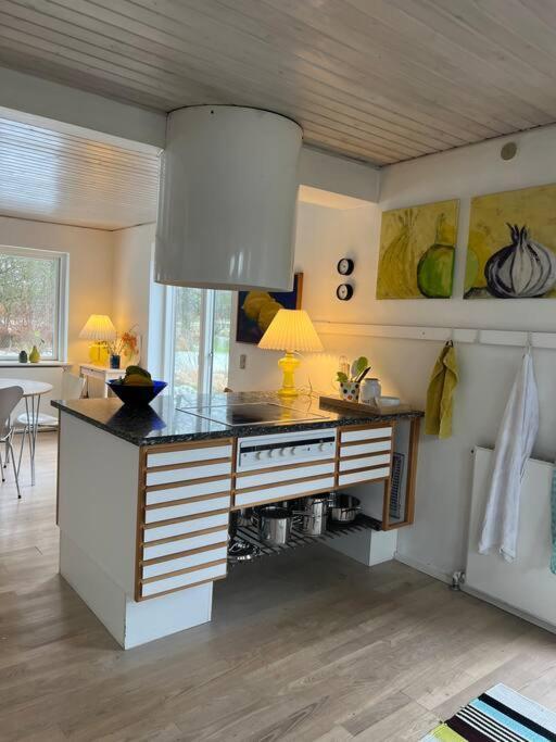 הוילה גיב Skont Hus Pa Landet Taet Pa Billund מראה חיצוני תמונה
