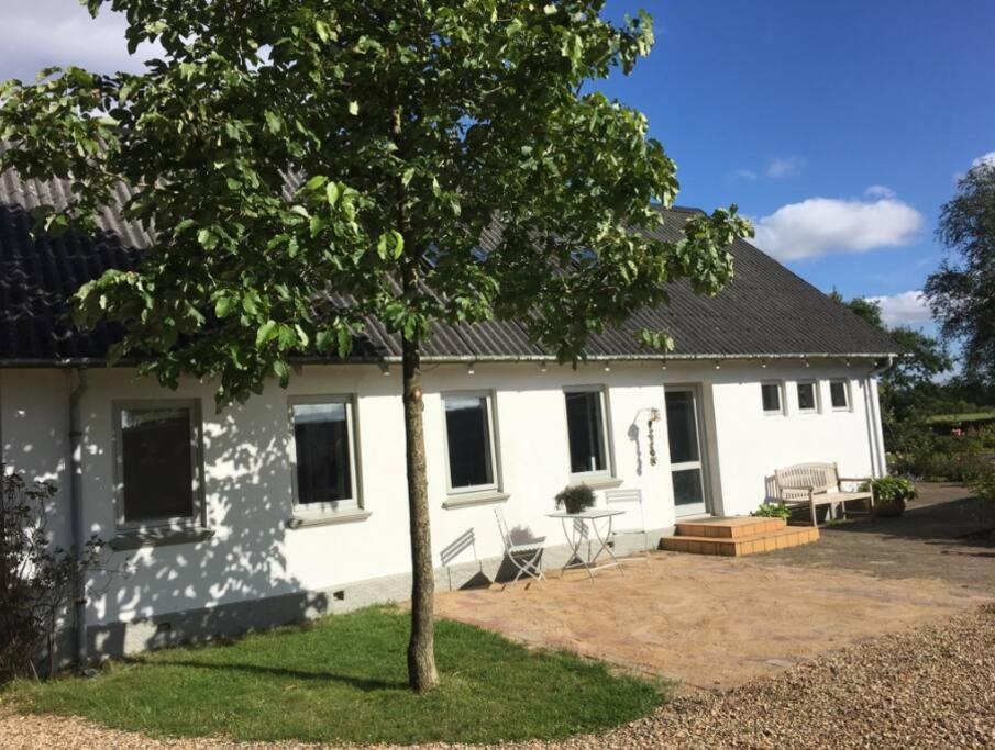 הוילה גיב Skont Hus Pa Landet Taet Pa Billund מראה חיצוני תמונה